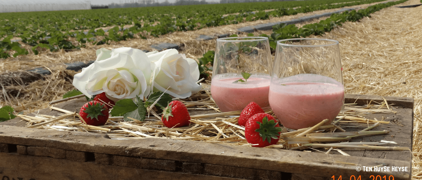 Aardbeiensmoothie Aardbeiensmoothie