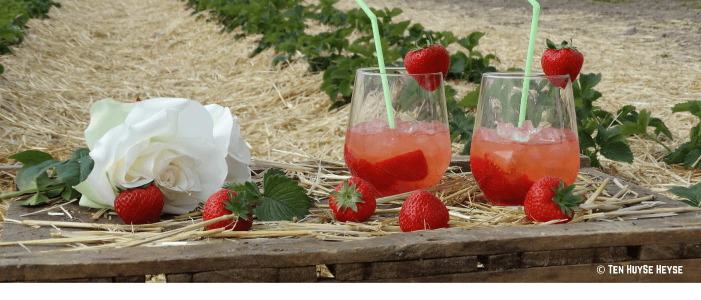 Strawberry Gin Strawberry Gin